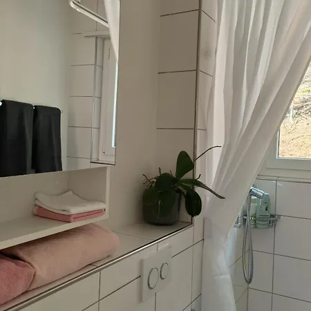 Swisshomeliday Apartment Interlaken