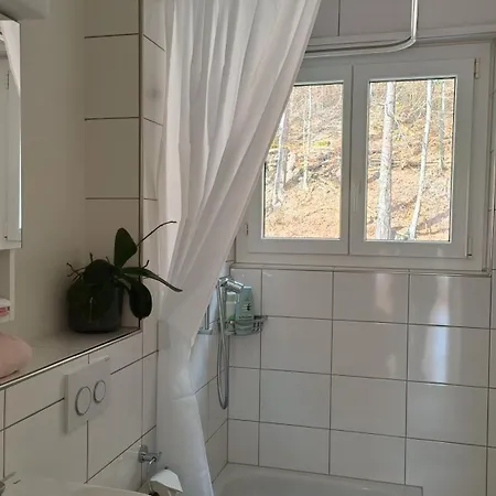 Appartamento Swisshomeliday *