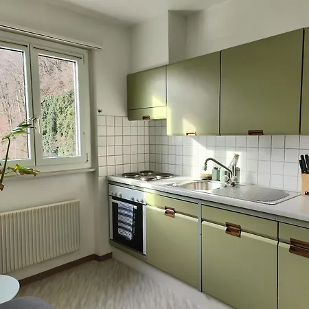 Swisshomeliday Apartment