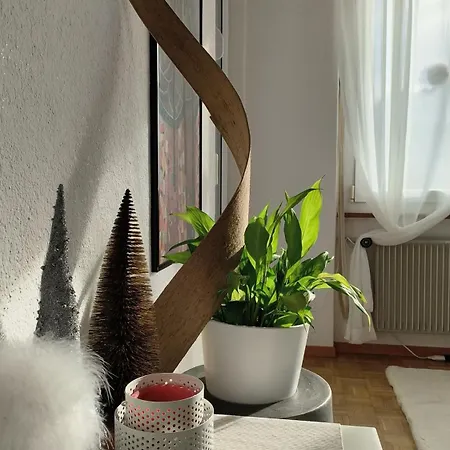 Appartement Swisshomeliday