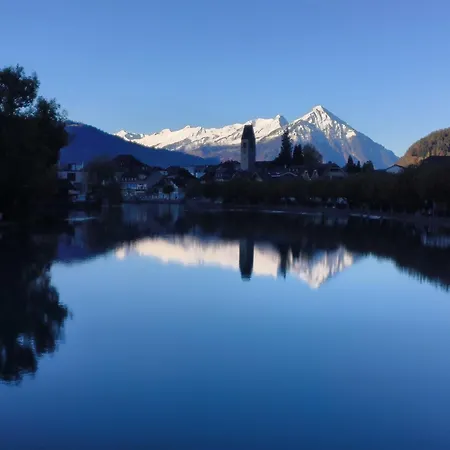 Swisshomeliday Appartement