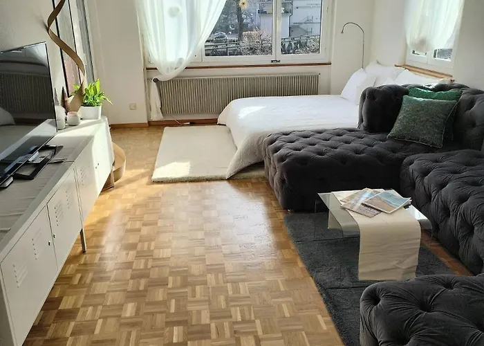 Swisshomeliday 因特拉肯